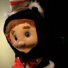 gingerdinleigh