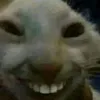 buico30