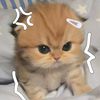 delzzz_1112
