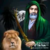 user2510611808522