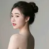 benhu_10012004
