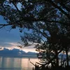 odalihznir