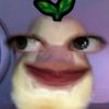 chwrrypiee29