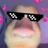 fnporluca