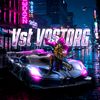 vostorg_ner