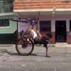 gogito_0