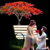 jannat_r143