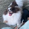 bubbycoconut