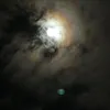 melissa.17_5