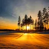 bafren.ahmad
