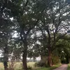 xsyzk1