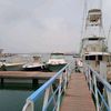 tahir103288