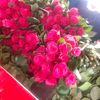 user837049045460