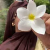 thedzbrlva