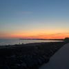selena_pavao7