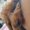 maro_danel12