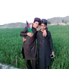 ziarmal.ahmadzai7