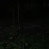 itzz.vvik22