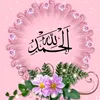 user7454942600455