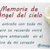 elizabethguerrero946