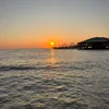 add1991981