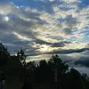 frankoy__