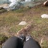 tatiana.huaranca