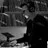 deejaytao5