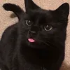 emiii__780