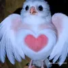 alondrahe25