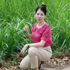 _daovan1976