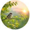 nazir_saand_786