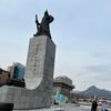 agi namja🇮🇩🇰🇷