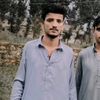 malikhasnain391