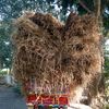 md.shahin3448