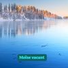 moisevacant