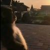 mfi_77