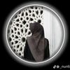 xxpii99