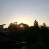 mond18231