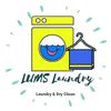 lums_laundry1