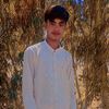 kingasim46kingasim460