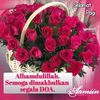 salmizabintimohds