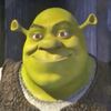 shrekvelizade035