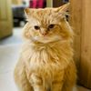 call__me__sheru