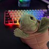 turtle_lover_1