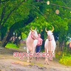 .aungkyaw4