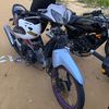 Darma putra