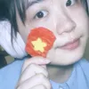 sprisnow