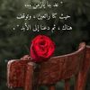 hala.ahmed92