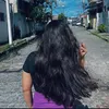 pvd_gabriela1